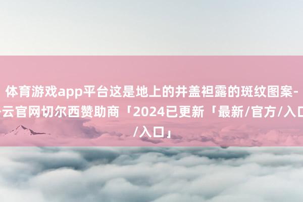 体育游戏app平台这是地上的井盖袒露的斑纹图案-开云官网切尔西赞助商「2024已更新「最新/官方/入口」