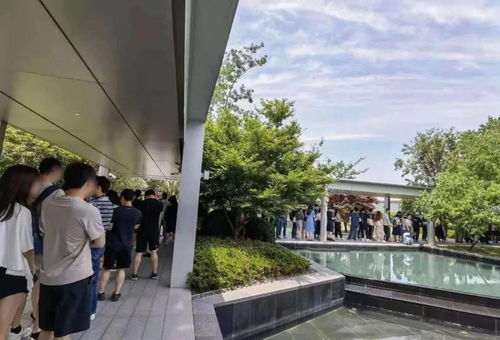 唐鎮(zhèn)認購第三天,突發(fā) 簽字墻