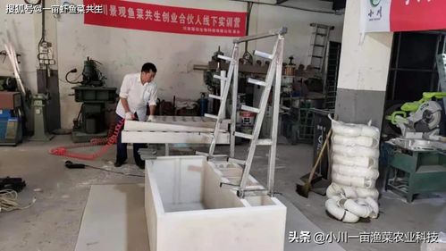 小川魚菜一體池 免固化 綠植墻 帶過濾 家用活魚保鮮庫 蔬菜工廠