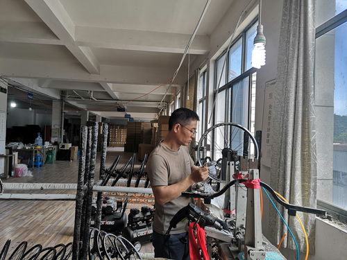 騎行熱 帶火市場 臨安企業 爆單