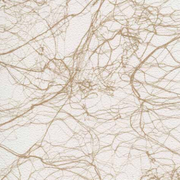 第三墻產品推薦-樣品展示 D1513M607