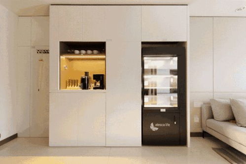 一個這么漂亮又實用的家具,看了就想裝一個,太實用了