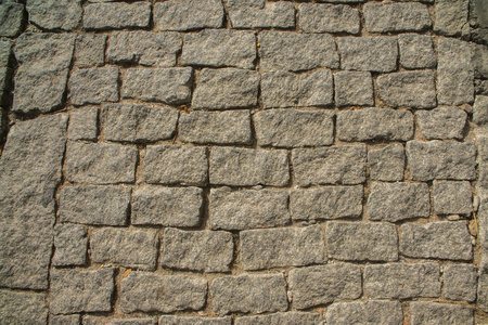 關閉抽象樹樹皮紋理背景。選擇性聚焦相似素材圖片第3頁-攝圖新視界