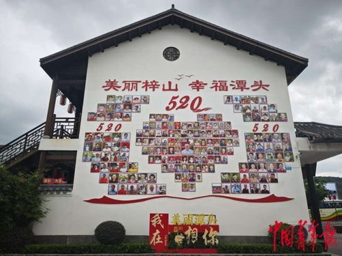 一位村支書的三件事