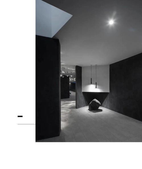 第四面墻的消失丨金科 博瀚天元