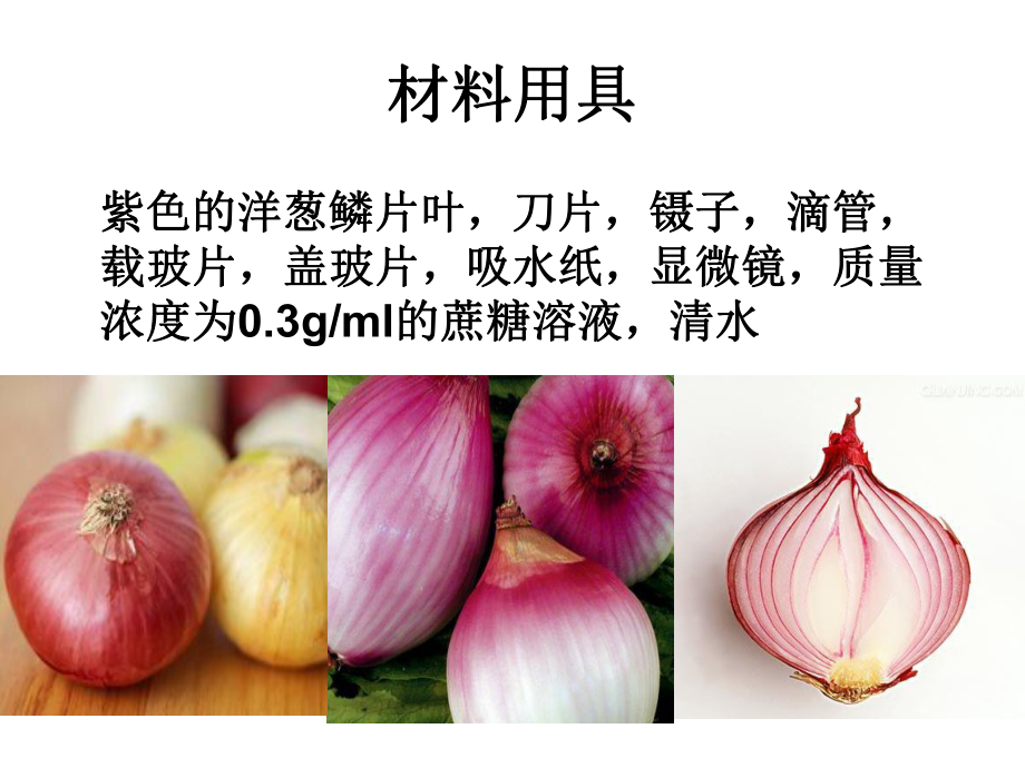 實(shí)驗(yàn)觀察植物細(xì)胞的質(zhì)壁分離與復(fù)原