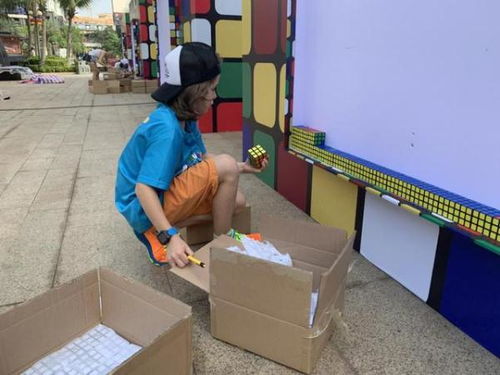 世界最大鼠生肖魔方馬賽克墻在海口驚艷亮相 挪威藝術家耗時三天三夜創作