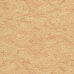 第三墻樣品展示 X1570G101 家居設計的革新之選